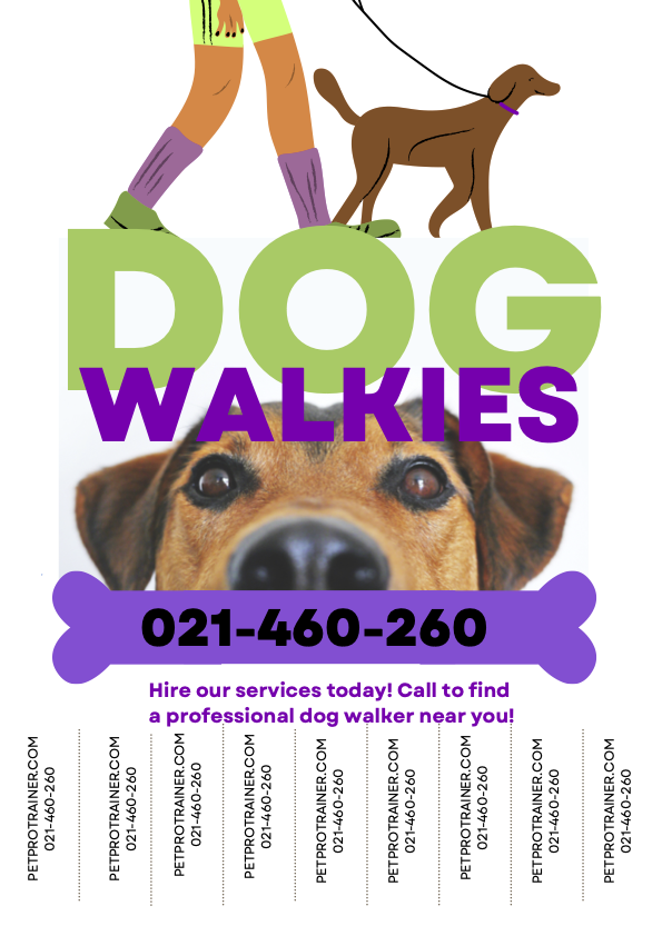 Dog Walking Services |myNotice